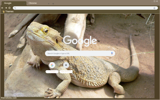 Bearded Dragon  from Chrome web store to be run with OffiDocs Chromium online