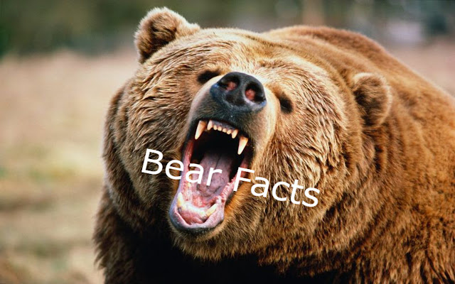 Bear Facts dal Chrome Web Store da eseguire con OffiDocs Chromium online