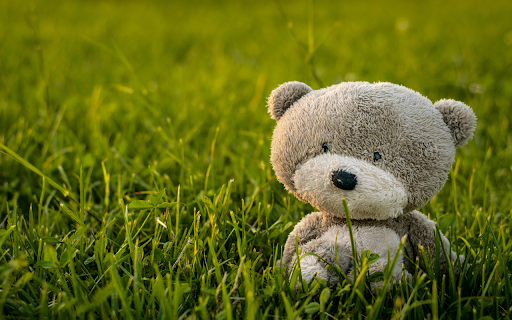 Bear in the Meadow  from Chrome web store to be run with OffiDocs Chromium online