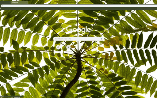 Beautiful Blooming  from Chrome web store to be run with OffiDocs Chromium online