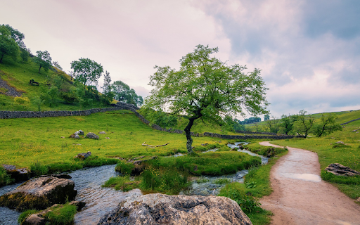 Beautiful clean green park  from Chrome web store to be run with OffiDocs Chromium online