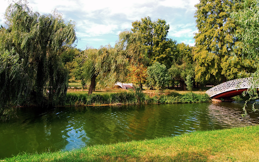 Beautiful countryside scene  from Chrome web store to be run with OffiDocs Chromium online