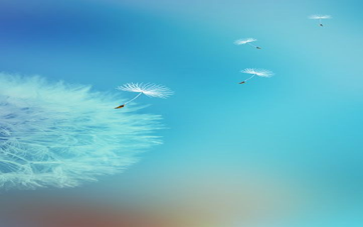 Beautiful dandelion wallpaper  from Chrome web store to be run with OffiDocs Chromium online