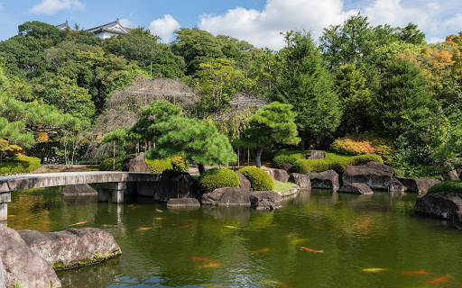 Beautiful Fish Pond  from Chrome web store to be run with OffiDocs Chromium online