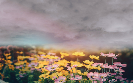 Beautiful flower garden  from Chrome web store to be run with OffiDocs Chromium online