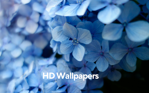 Beautiful Flower Wallpapers New Tab from Chrome web store to be run with OffiDocs Chromium online Beautiful Flower Wallpapers New Tab from Chrome web store to be run with OffiDocs Chromium online