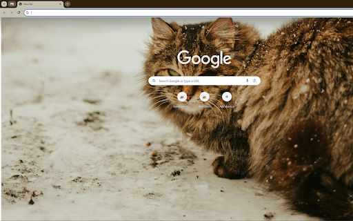 Beautiful ginger cat amidst falling snow  from Chrome web store to be run with OffiDocs Chromium online