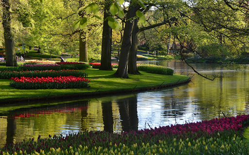 Beautiful green park  from Chrome web store to be run with OffiDocs Chromium online