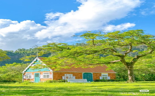 Beautiful house wallpaper  from Chrome web store to be run with OffiDocs Chromium online