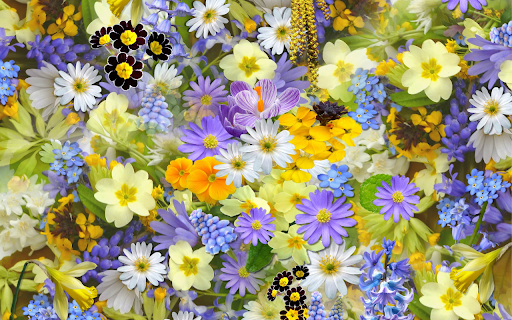 Beautiful little flowers  from Chrome web store to be run with OffiDocs Chromium online