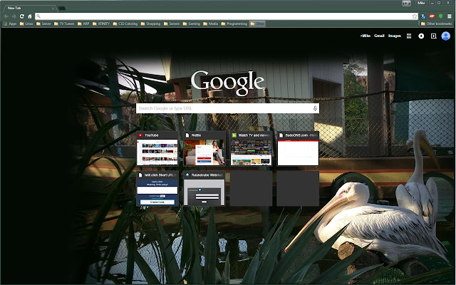 Beautiful Pelican  from Chrome web store to be run with OffiDocs Chromium online