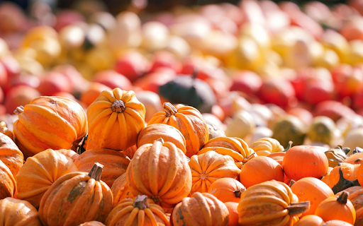 Beautiful pumpkins  from Chrome web store to be run with OffiDocs Chromium online