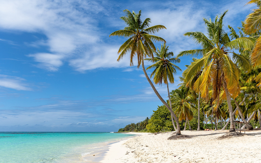Beautiful Sea  from Chrome web store to be run with OffiDocs Chromium online