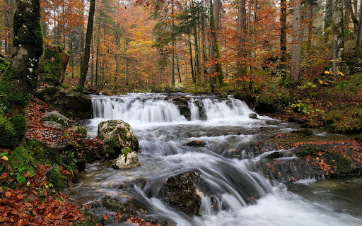 Beautiful stream  from Chrome web store to be run with OffiDocs Chromium online