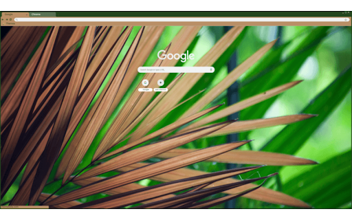 Beautiful Tree Leaves  from Chrome web store to be run with OffiDocs Chromium online