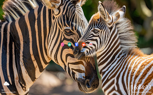 beautiful zebra  from Chrome web store to be run with OffiDocs Chromium online