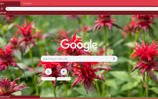 Bee Balm  from Chrome web store to be run with OffiDocs Chromium online