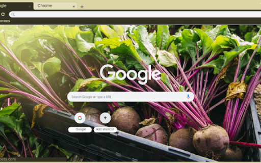 BEET  from Chrome web store to be run with OffiDocs Chromium online