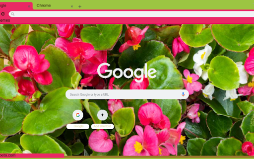 Begonia  from Chrome web store to be run with OffiDocs Chromium online