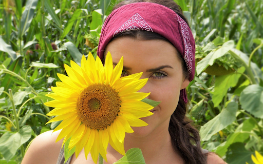 Behind a flower  from Chrome web store to be run with OffiDocs Chromium online