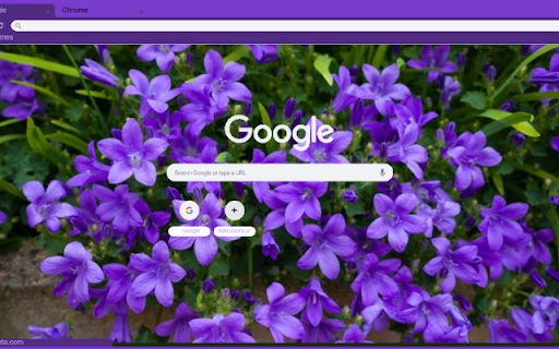 Bellflower  from Chrome web store to be run with OffiDocs Chromium online