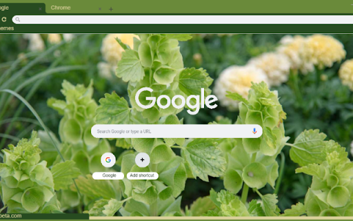 Bells of Ireland  from Chrome web store to be run with OffiDocs Chromium online