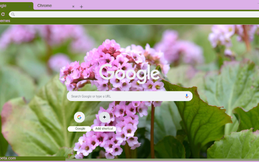 Bergenia  from Chrome web store to be run with OffiDocs Chromium online