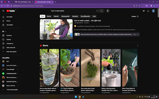 Berryductive  from Chrome web store to be run with OffiDocs Chromium online