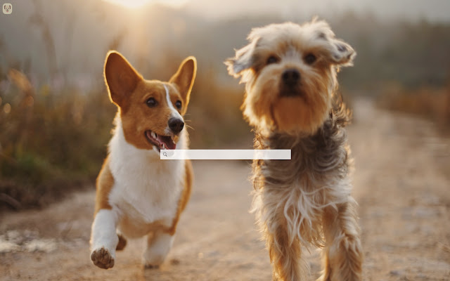 Best Friend Backgrounds  from Chrome web store to be run with OffiDocs Chromium online