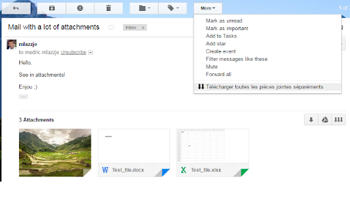 Better download all attachments for Gmail™  from Chrome web store to be run with OffiDocs Chromium online