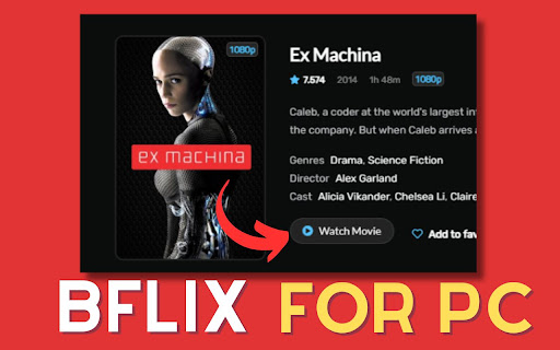 Bflix For PC,windows and Mac (Easy Use)  from Chrome web store to be run with OffiDocs Chromium online