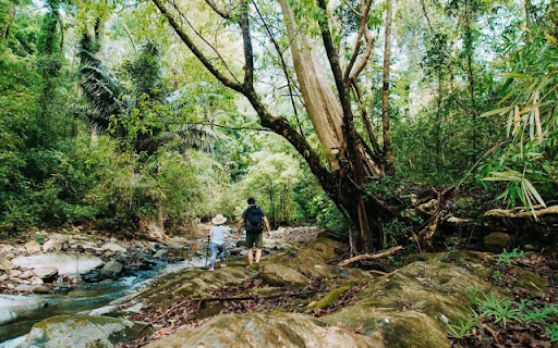 Bù Gia Mập National Park – A Pristine Haven of Biodiversity  from Chrome web store to be run with OffiDocs Chromium online