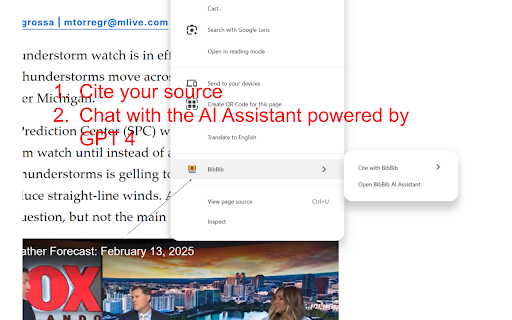 BibBib  from Chrome web store to be run with OffiDocs Chromium online
