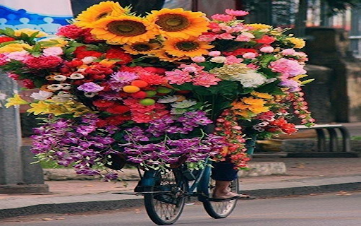 Bicycle carrying many flowers Wallpaper  from Chrome web store to be run with OffiDocs Chromium online