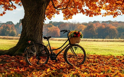 Bicycles and flower baskets  from Chrome web store to be run with OffiDocs Chromium online