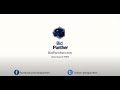 BidPanther for QuiBids, DealDash  from Chrome web store to be run with OffiDocs Chromium online