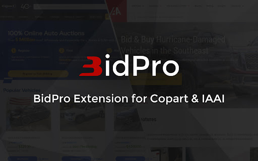 BidPro  from Chrome web store to be run with OffiDocs Chromium online