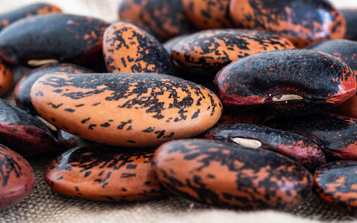 Big brown beans  from Chrome web store to be run with OffiDocs Chromium online