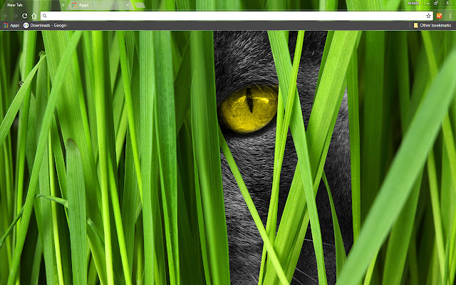 Big Cat  from Chrome web store to be run with OffiDocs Chromium online