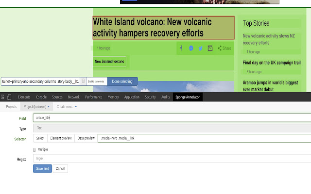 BigConnect Sponge Annotator  from Chrome web store to be run with OffiDocs Chromium online