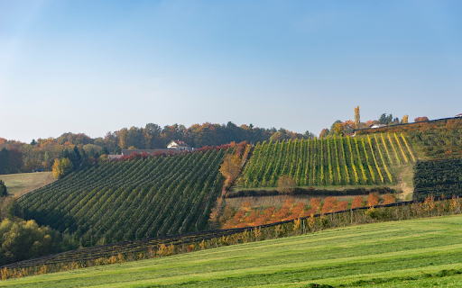 Big farm  from Chrome web store to be run with OffiDocs Chromium online