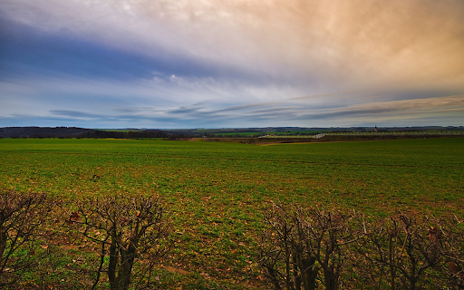 Big green grass field from Chrome web store to be run with OffiDocs Chromium online Big green grass field from Chrome web store to be run with OffiDocs Chromium online