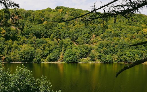 Big green lake  from Chrome web store to be run with OffiDocs Chromium online