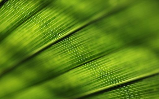 Big green leaf  from Chrome web store to be run with OffiDocs Chromium online