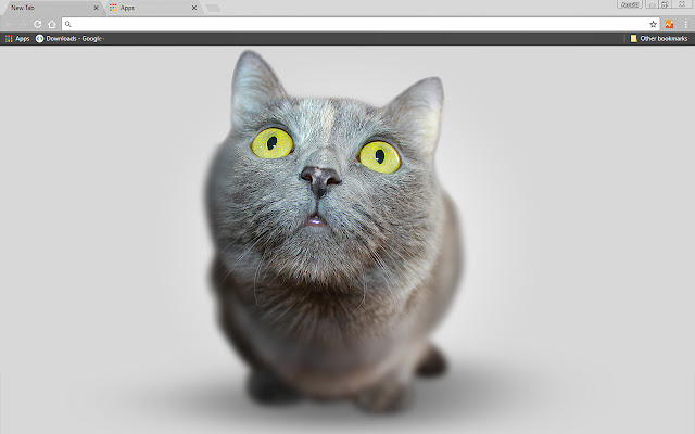 Big Head Kitten  from Chrome web store to be run with OffiDocs Chromium online