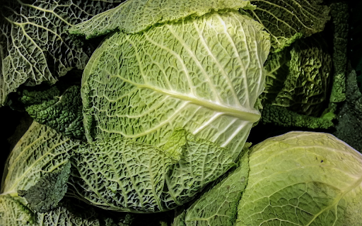 Big mustard plants  from Chrome web store to be run with OffiDocs Chromium online Big mustard plants  from Chrome web store to be run with OffiDocs Chromium online