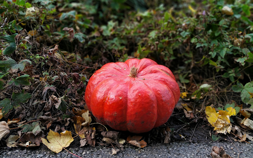 Big round pumpkin  from Chrome web store to be run with OffiDocs Chromium online