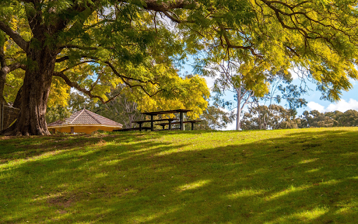 Big trees and grass  from Chrome web store to be run with OffiDocs Chromium online