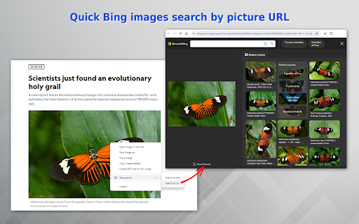 Bing Images Search  from Chrome web store to be run with OffiDocs Chromium online