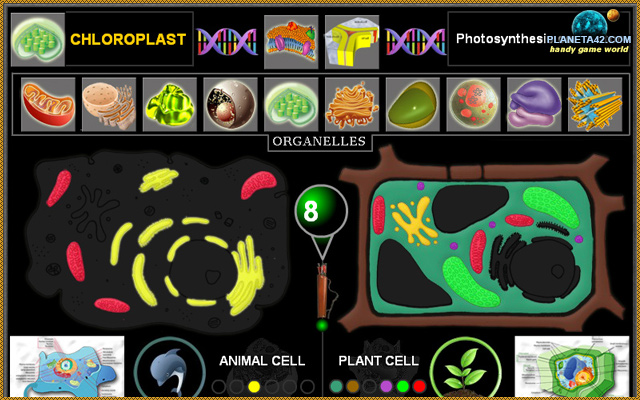 O quebra-cabeça de célula de biologia da Chrome Web Store será executado com o OffiDocs Chromium online